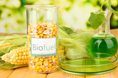 Camden Town biofuel availability